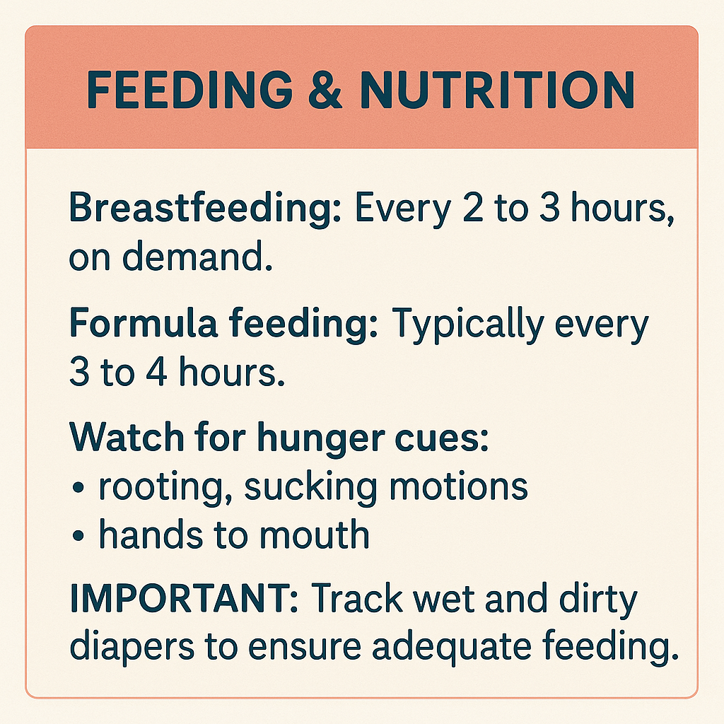 newborn baby growth and feeding