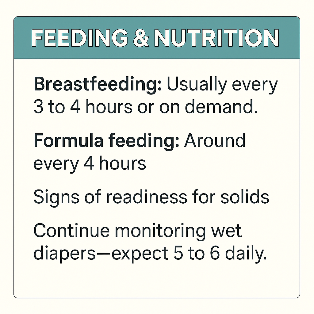 20250606_0052_Baby Feeding Guidelines_remix_01jx0rmw23eba9b2bf8kca29m3