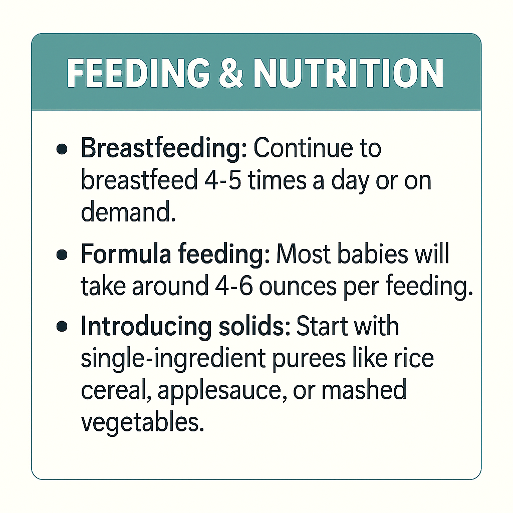 20250616_1126_Feeding and Nutrition Guidelines_remix_01jxvmx6vcekjre923kbb9t79q