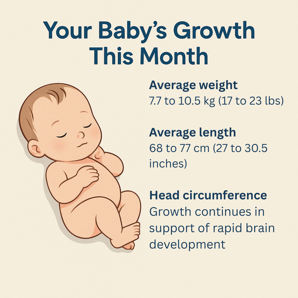 baby growth