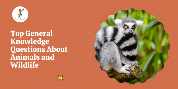 General Knowledge Questions