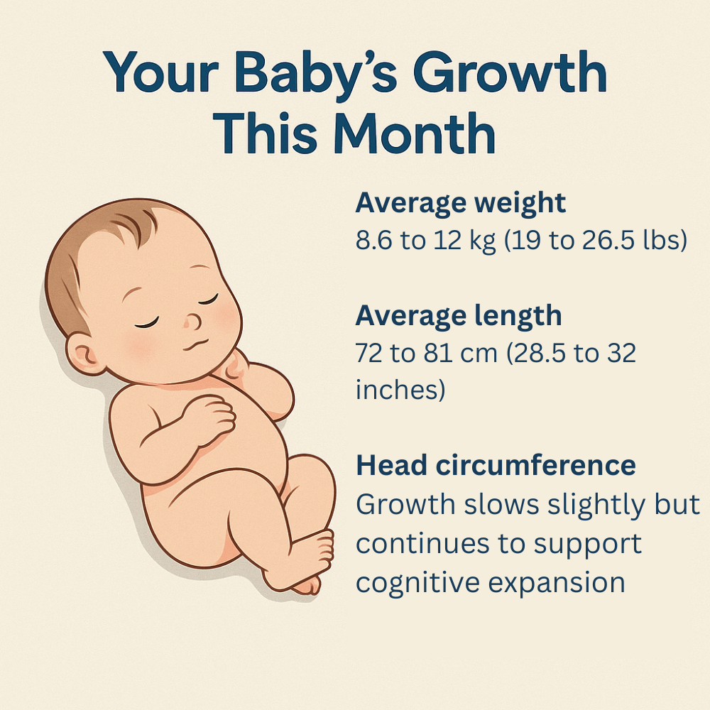 baby-growth