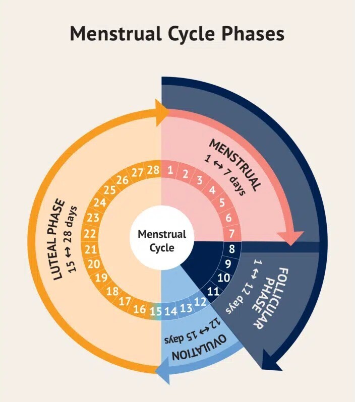 discharge before menstrual period