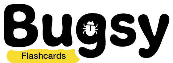 bugsy flashcards